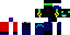 Texture for MixelGamer