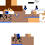 Texture for dave