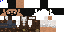 Texture for Steeve 