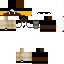 Texture for FlapLays