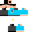 Texture for steve