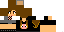 Texture for lihpig