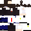 Texture for 駿