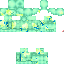 Texture for Steve