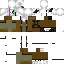 Texture for  