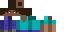 Texture for steve 