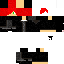 Texture for k748