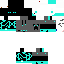 Texture for chap