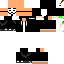 Texture for Steve