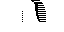Texture for Skeletal Elytra