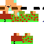 Texture for Palitomc