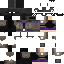 Texture for knight