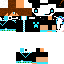 Texture for steve