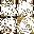 Texture for WTF
