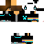Texture for assassin3