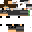 Texture for Lupingintroskin