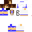 Texture for bl253