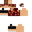 Texture for ds