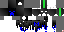 Texture for Phantome