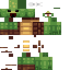 Texture for turtle