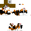 Texture for Calicp