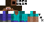 Texture for SteveIndev