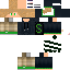 Texture for Steve