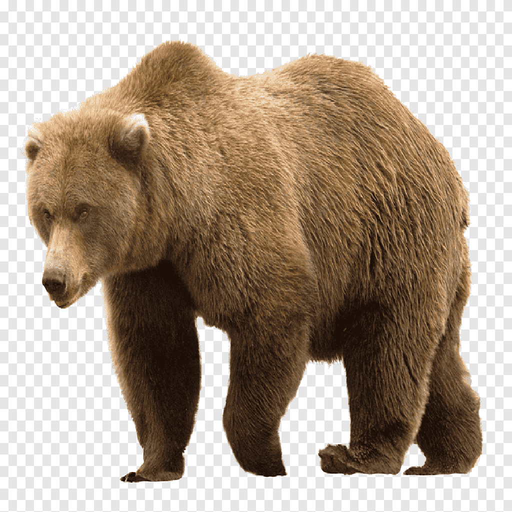 Texture for hhh