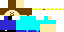 Texture for Steve