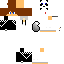 Texture for robin_tv