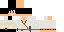 Texture for Shake player