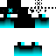 Texture for Warden