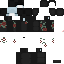 Texture for coot whale