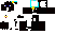Texture for pupy