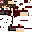 Texture for FlowFusion