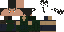 Texture for LANCER