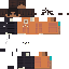 Texture for fsdf
