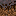 Texture for mycelium_side