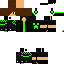 Texture for Steve