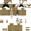 Texture for s