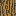 Texture for Palm Tree Texture