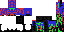 Texture for Evil Enderman
