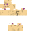 Texture for kočka
