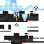 Texture for Limule