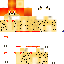 Texture for Apollo