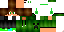 Texture for creeeper
