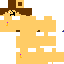 Texture for sam