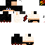 Texture for bip new version