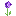 Texture for lavender