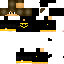 Texture for SSKIN2